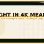 caught-in-4k-meaning