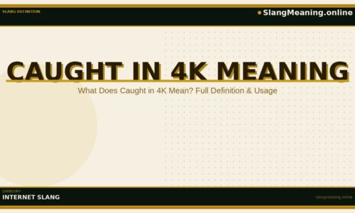 caught-in-4k-meaning