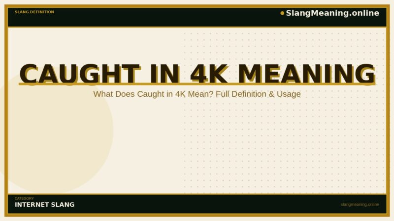 caught-in-4k-meaning