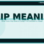 drip-meaning