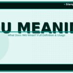 imu-meaning