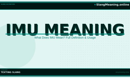 imu-meaning