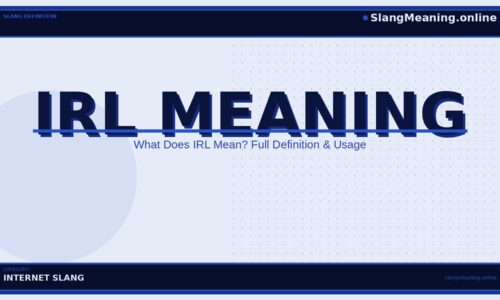 irl-meaning