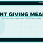 it-aint-giving-meaning