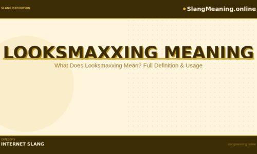 looksmaxxing-meaning