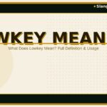 lowkey-meaning