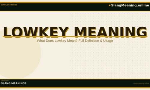 lowkey-meaning