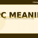 npc-meaning