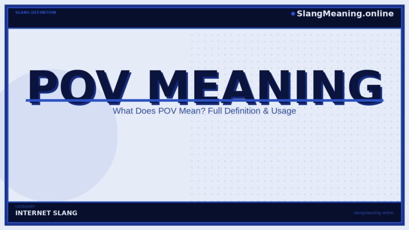 pov-meaning