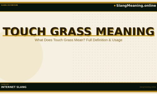 touch-grass-meaning