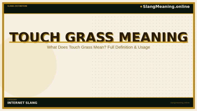 touch-grass-meaning