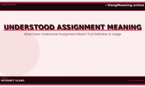 understood-assignment-meaning
