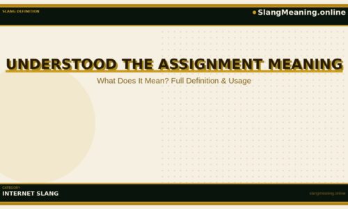 understood-the-assignment-meaning