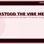 understood-the-vibe-meaning