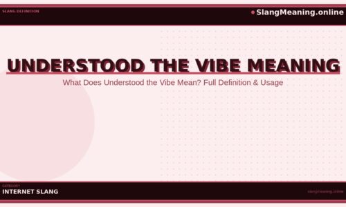 understood-the-vibe-meaning