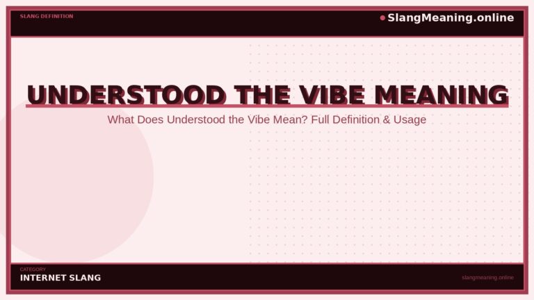 understood-the-vibe-meaning