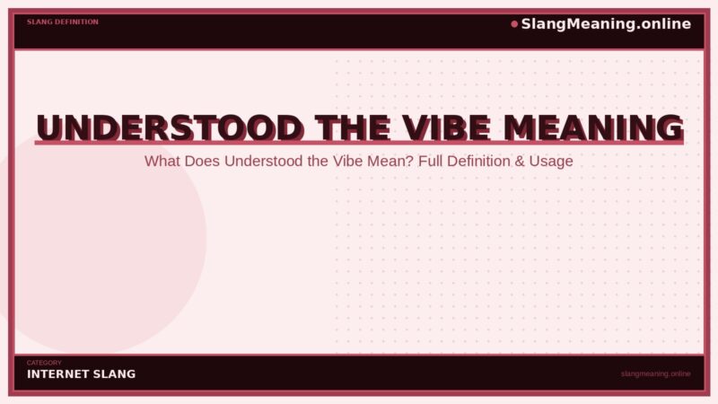 understood-the-vibe-meaning