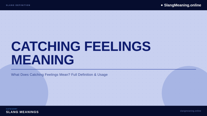 catching-feelings-meaning