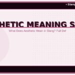 aesthetic meaning slang