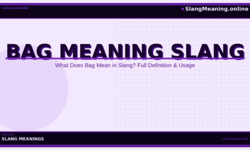 bag-meaning-slang