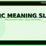 basic-meaning-slang