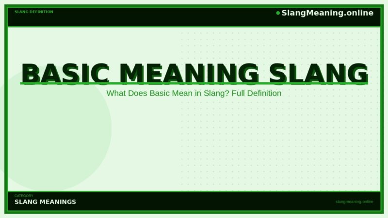 basic-meaning-slang