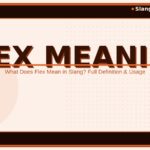 flex-meaning