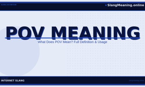 pov-meaning