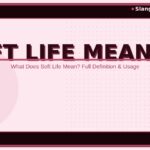 soft-life-meaning