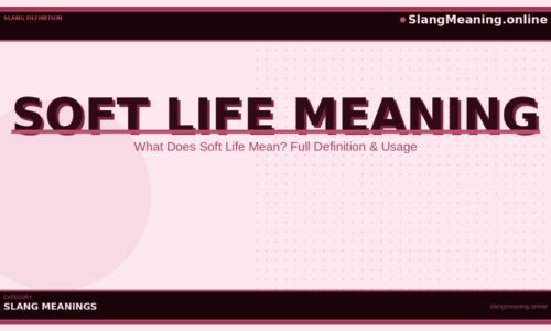 soft-life-meaning