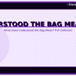 understood-the-bag-meaning