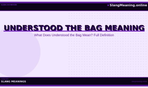 understood-the-bag-meaning