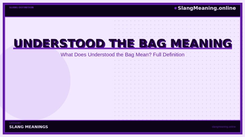 understood-the-bag-meaning